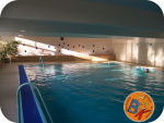 Hallenbad Ladendorf - Bernis Babyschwimmen